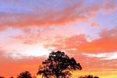Landscape - Honorable mention: Brendon Duffy, Sunrise