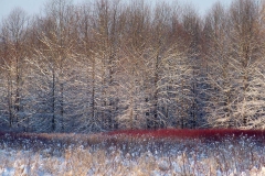 Landscape - Second place: Jim Mulvey, Wintry Wonder