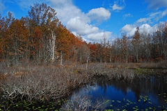 Landscape - First Place: Richard Harris