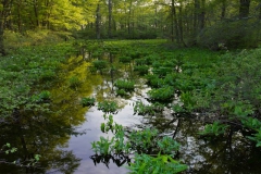 Landscape - Honorable Mention: David Kenny