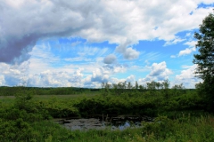 Landscape - Second Place: Jim Mulvey