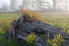 Landscape - Second Place: Lauren Lozowski