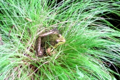 Youth: Delaney Moynihan