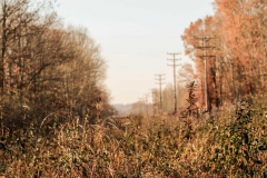 Youth: Melissa Peterson