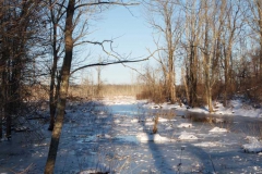 Landscape - Honorable Mention: Larry West