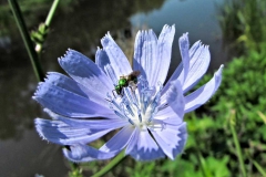 Plants - First Place: James T Yardley