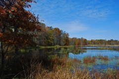 Landscape - Second Place: Richard Harris