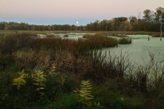 Landscape - Third Place: David Kaplan