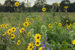 Landscape - First Place: David Kenny