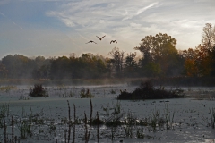 Landscape - Second place: Richard Harris