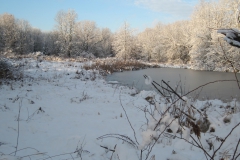 Landscape - Honorable mention: Robert Stapperfenne