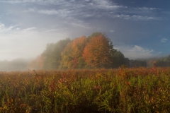 Landscape - First place: Larry West