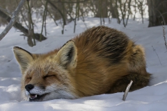 Wilderness - First place: Jim Duffy