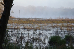 Youth - Honorable mention: Caitlin Moy