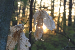 Best of Youth: Samantha Moy