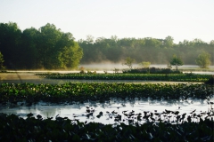 Youth - Honorable mention: Caroline Monks