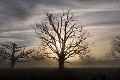 Landscape - Second place: Jim Duffy