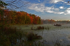 Landscape - First place: Richard Harris