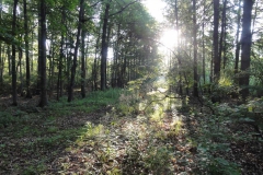 Youth - Honorable Mention: Caitlin Moy