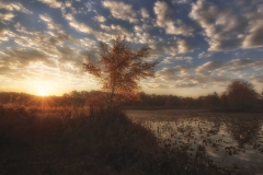 Landscape - Second place: Jim Duffy