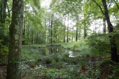 Youth - Honorable mention: Caitlin Moy