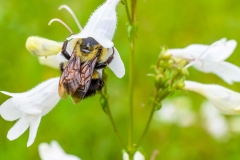 Youth - Honorable mention: Delaney Moynihan