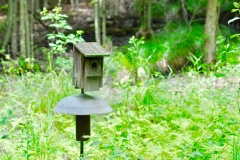 Youth - Honorable mention: Beth Polito