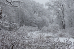 Landscape -  2nd Place - Robert Stapperfenne