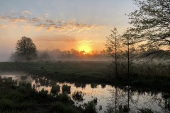 Landscape-First-Place-Nancy-Felicito