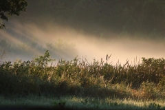 Landscape-GSNWR_2020_Caravela_Elena_04