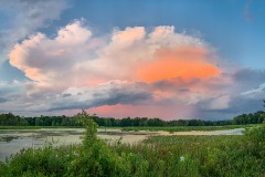 Landscape-GSNWR_2020_Gula_Tom_01