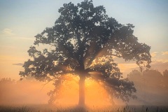 Landscape-GSNWR_2020_Martin_Meredith_01