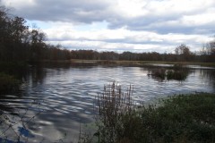 Youth-GSNWR_2020_Walker_Elisabeth_05