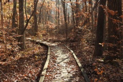 Scenics-Second-Place-Judi-DiMaio