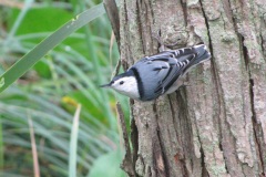 Youth-Best-Overall-Anna-Isleib