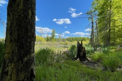 Cat 1.2- Landscapes - 2nd Place - John Dekens \"Passaic River Boundary\"