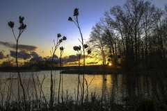 Cat 1.3 - Landscapes - 1st Place -  Lois Puttbach - \"Sunset\"