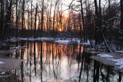 Cat 1.1 - Landscapes - 3rd Place - Donald Rosol \"Sunset\"