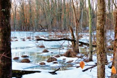 Landscapes_Macchia_Paul_Winter-Landscape