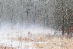 Landscapes_Christensen_Bruce_Ground-Fog