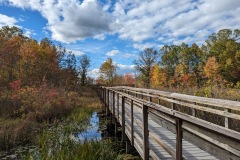 Landscapes_Kelsey_Karen-_Bridge-Over-Non-Troubled-Waters