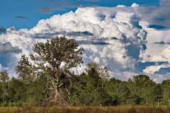 Landscapes_Kaplan_David-_Approaching-Storm