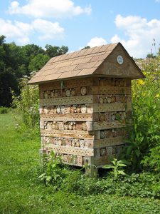Pollinator Box