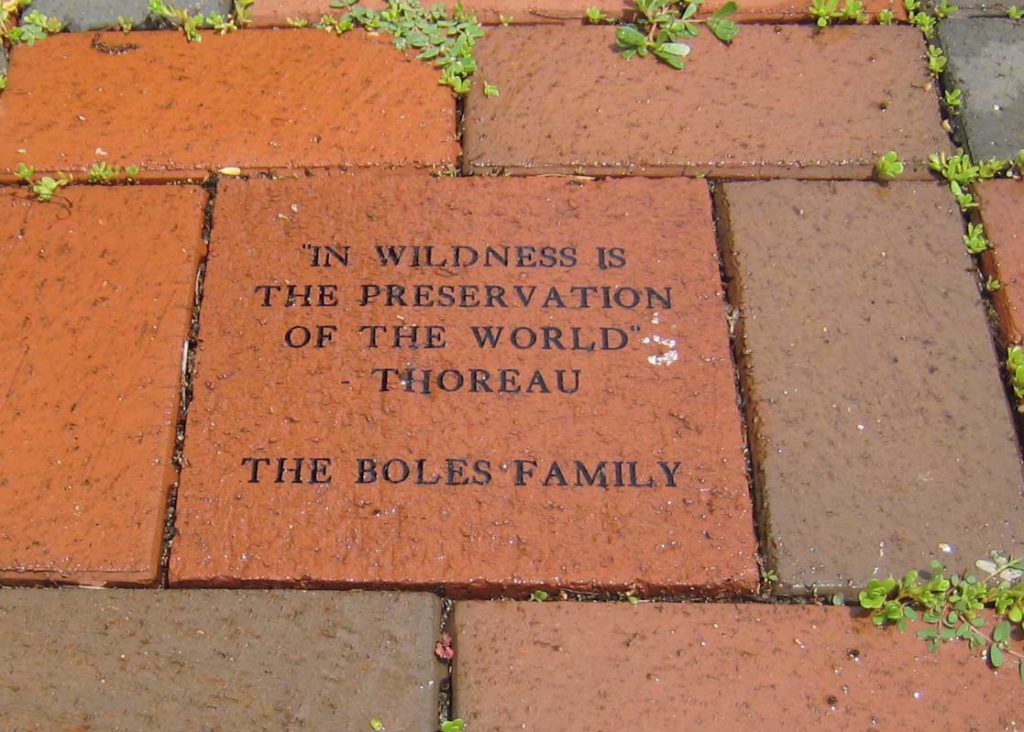 commemorative brick disney world